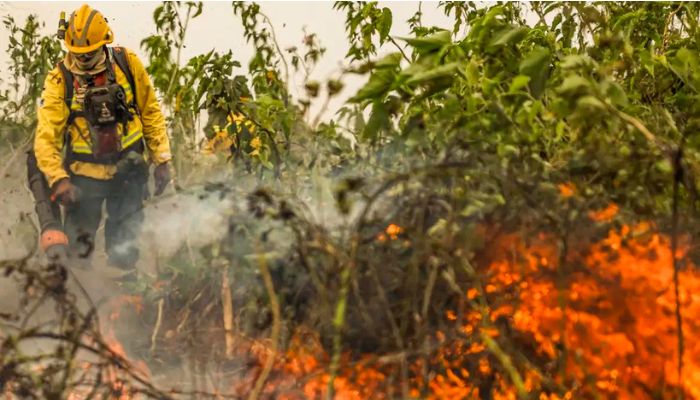 Brasil já registou mais de 154 mil focos de calor este ano 